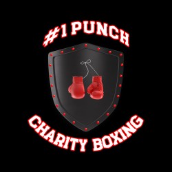 1Punch Charity Boxing